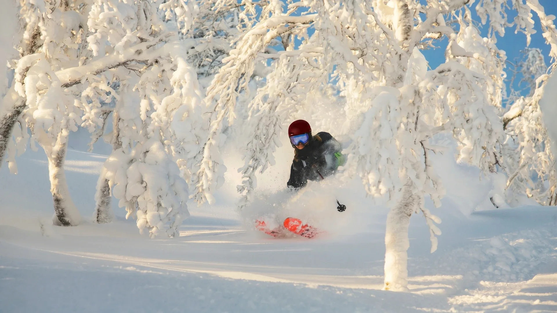 Conquer Every Peak This Winter